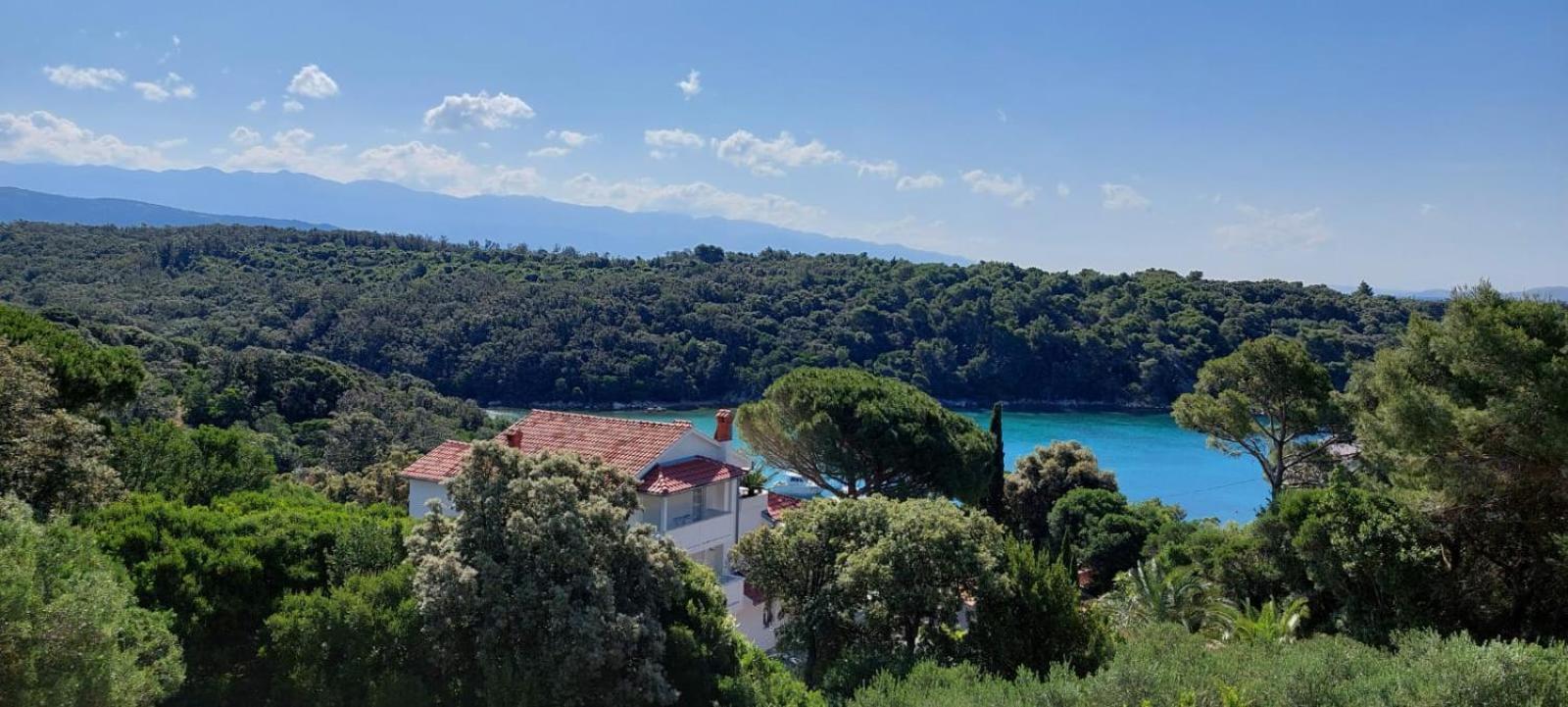 Milijana Apartments Rab Rab Town Rum bild